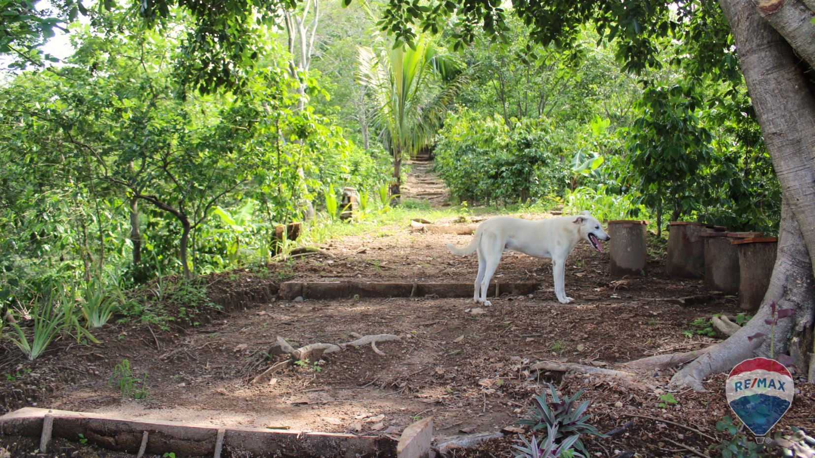 Coatepeque