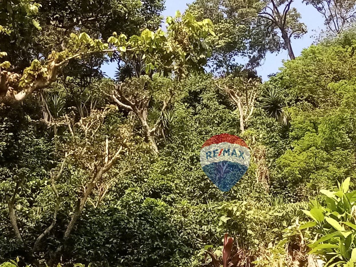 Terreno cafetalero en Juayua