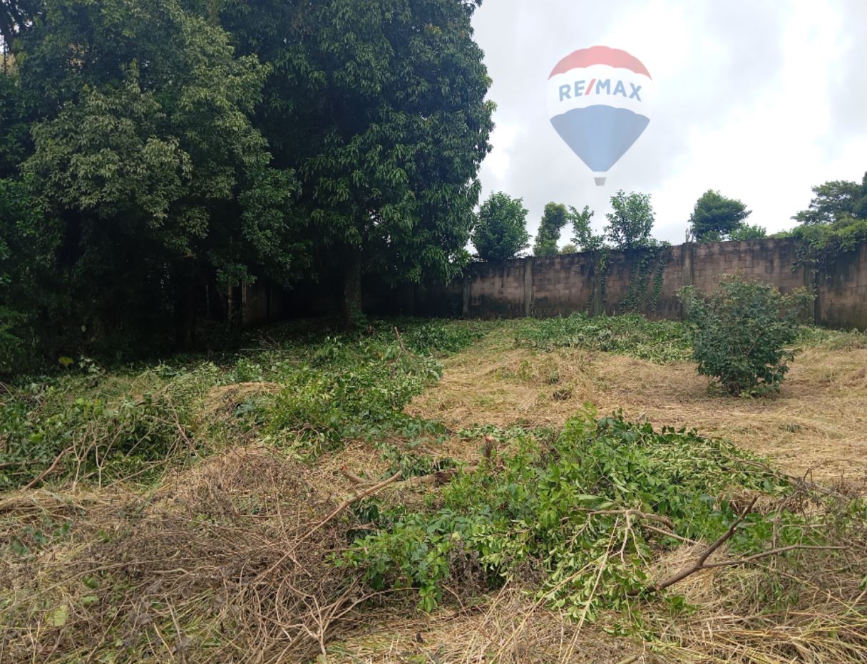 LAND FOR SALE. LLANO DE DOÑA MARÍA