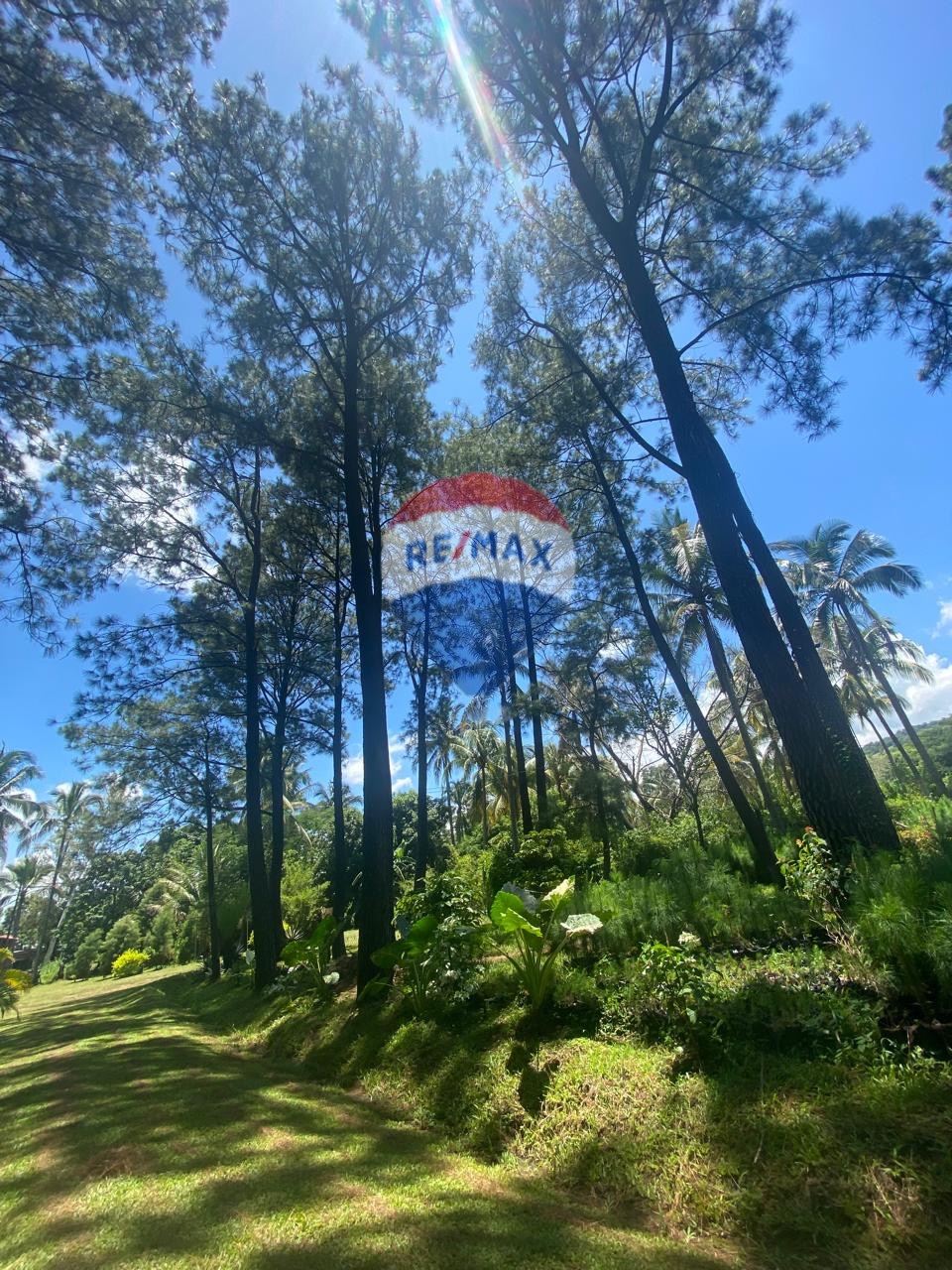 Terreno en Armenia