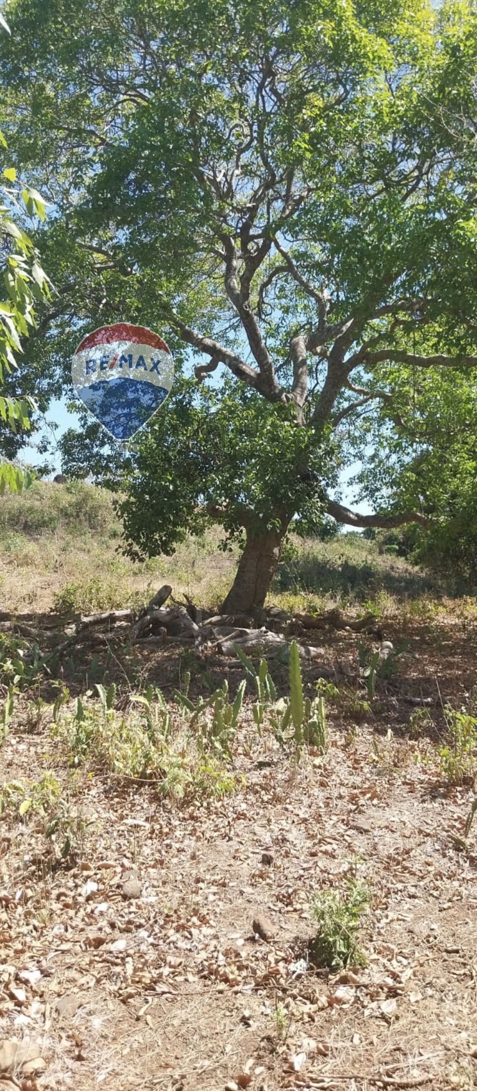 En venta 25 manzanas en Hacienda la aguja