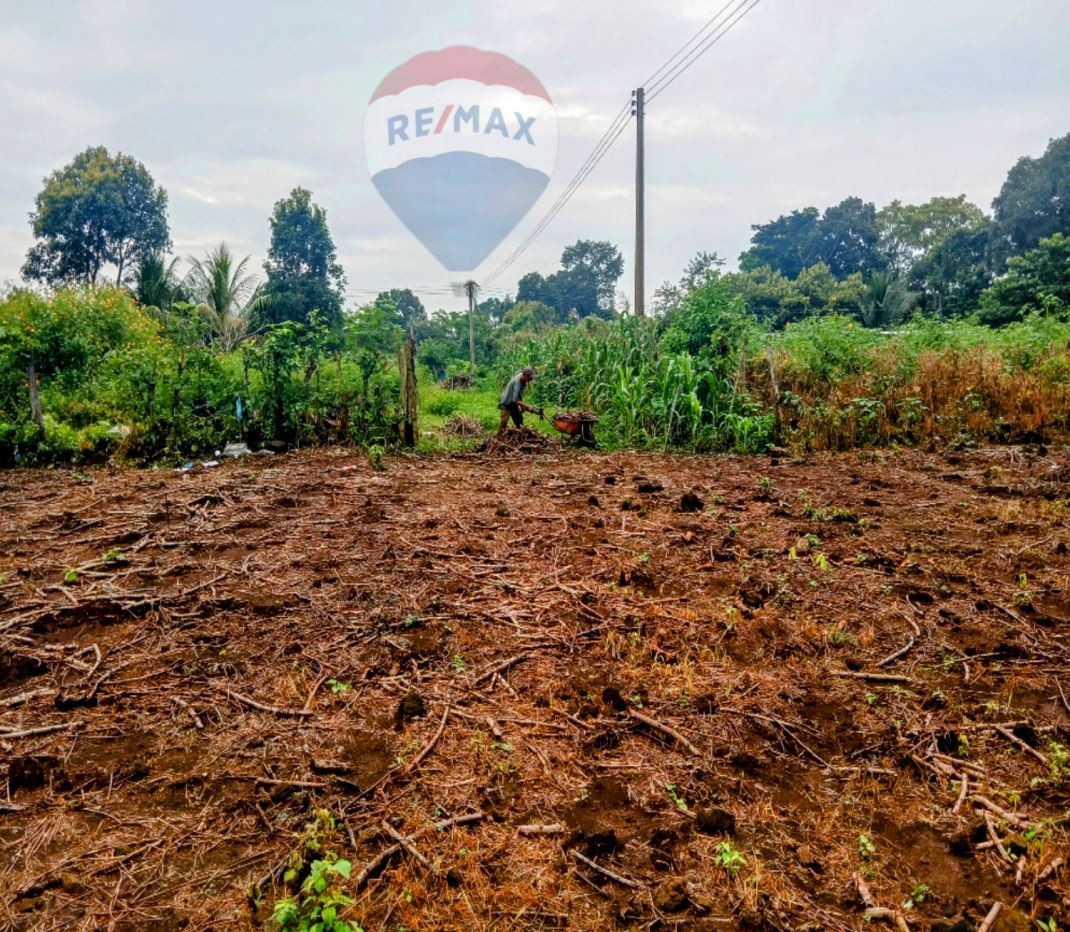 LAND FOR SALE IZALCO