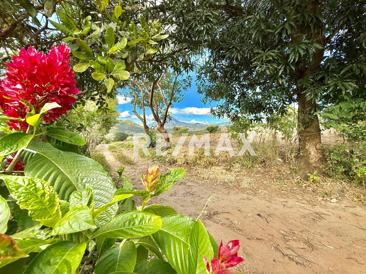 AGRICULTURAL LAND IN CHALCHUAPA