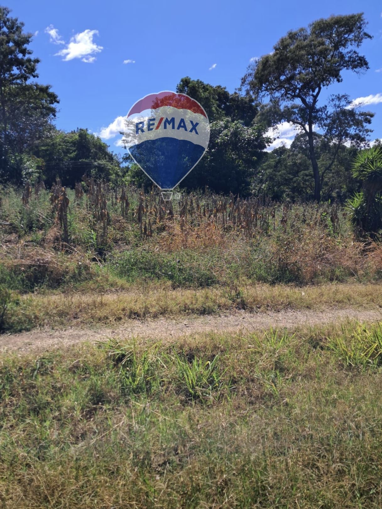 Lote en venta en la Lotificación El Carmen