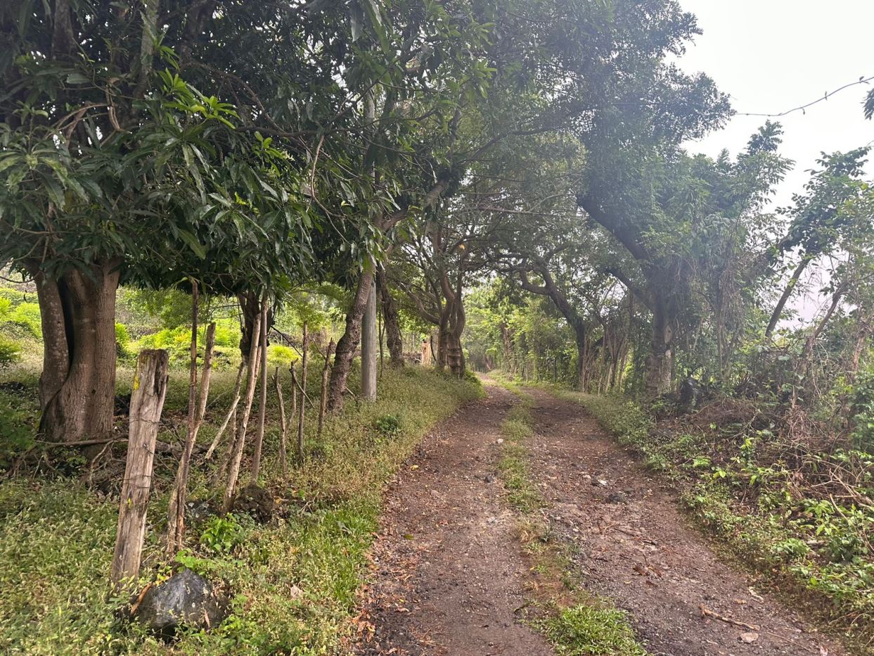 Cantón Primavera