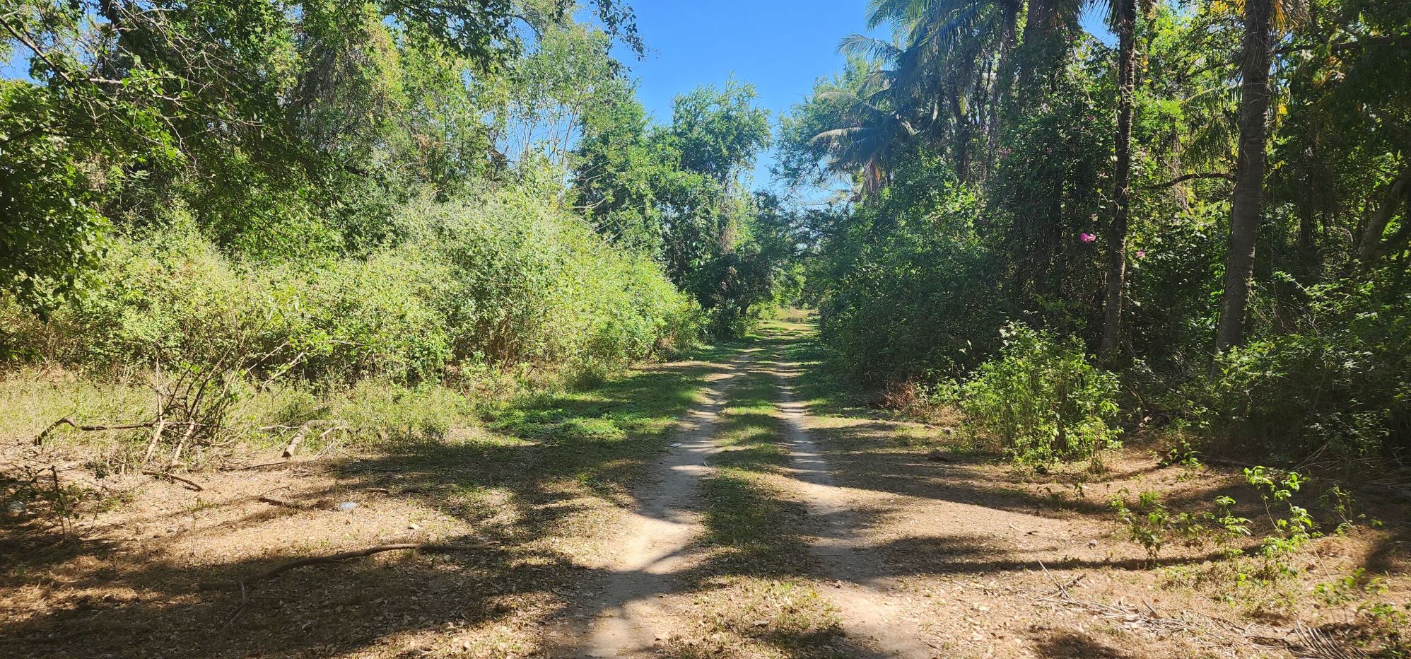 BEAUTIFUL LAND LOCATED IN THE CANTON EL PEDREGAL