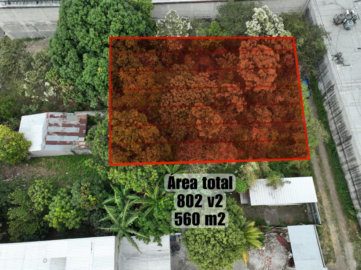 THREE LOTS FOR SALE IN LOURDES