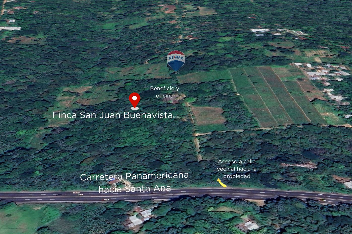 Land for Sale- San Juan Buenavista