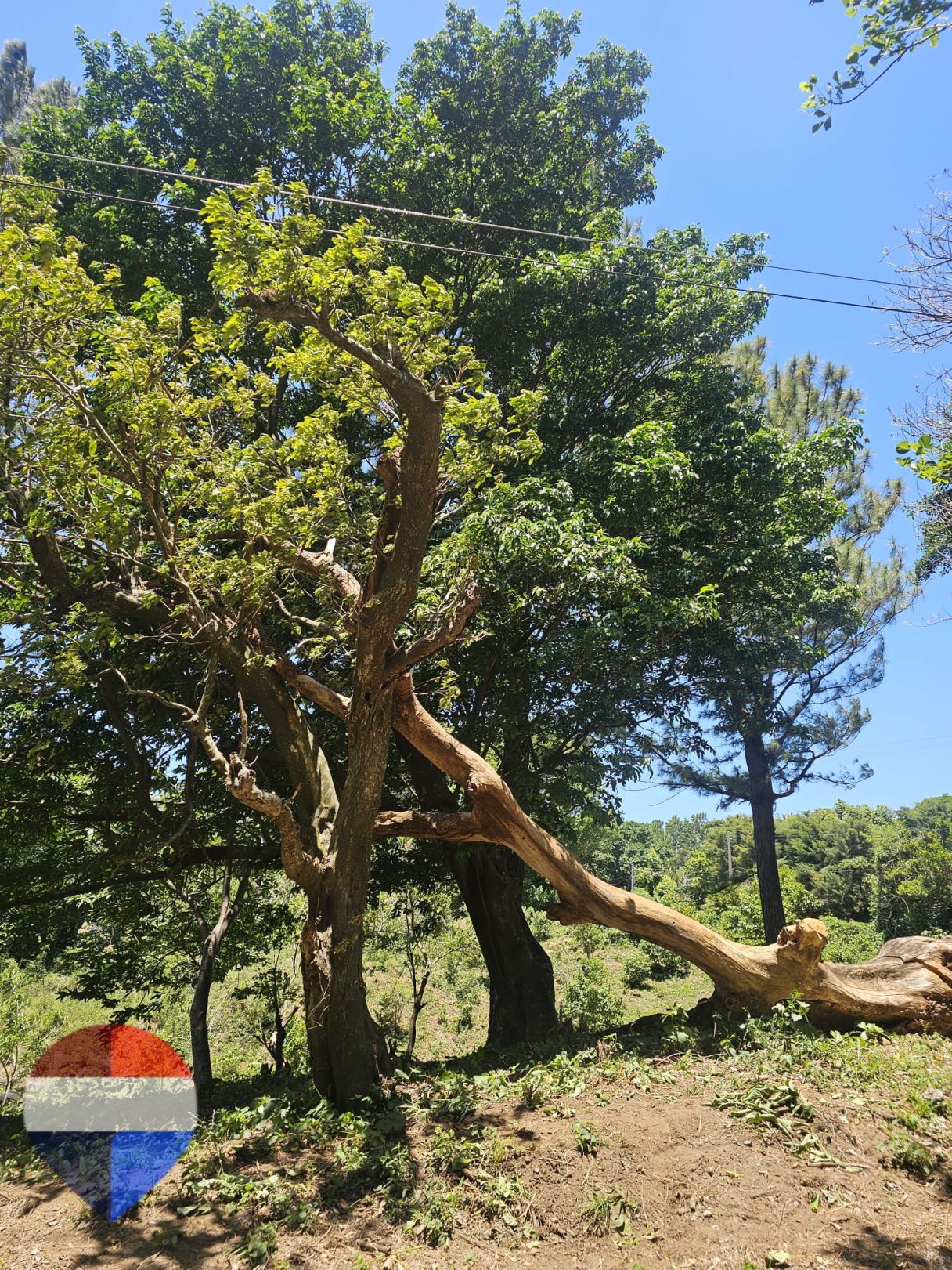 Your Paradise Between Volcanoes and the Sea! Scenic Lot for Sale in Neiborhood El Canelo