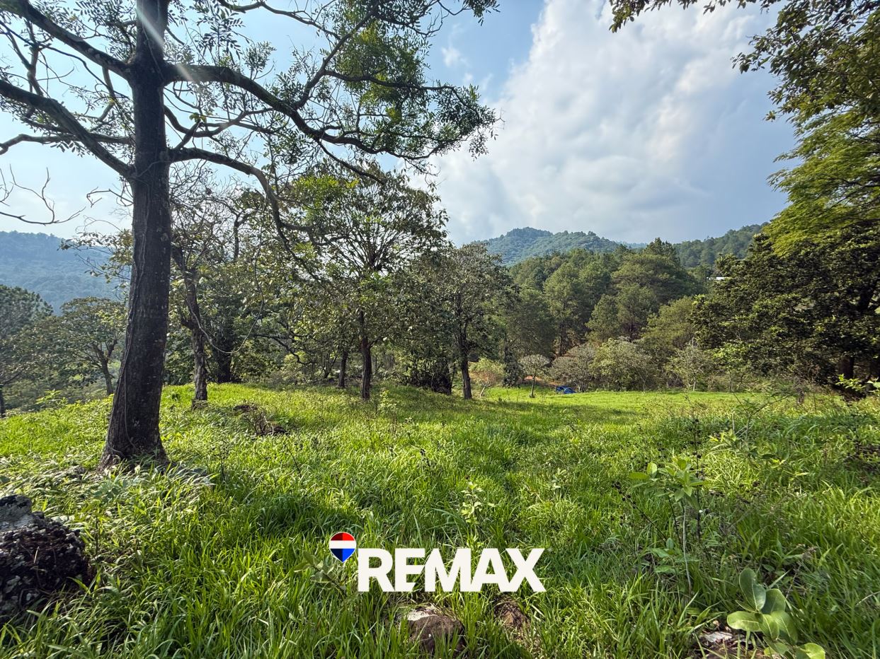 Lot for Sale in Arambala