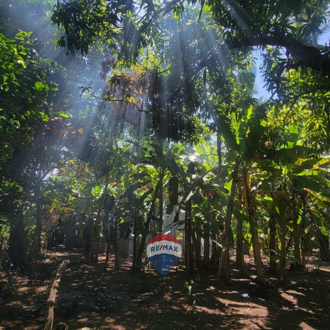 Land With House Near the Beach