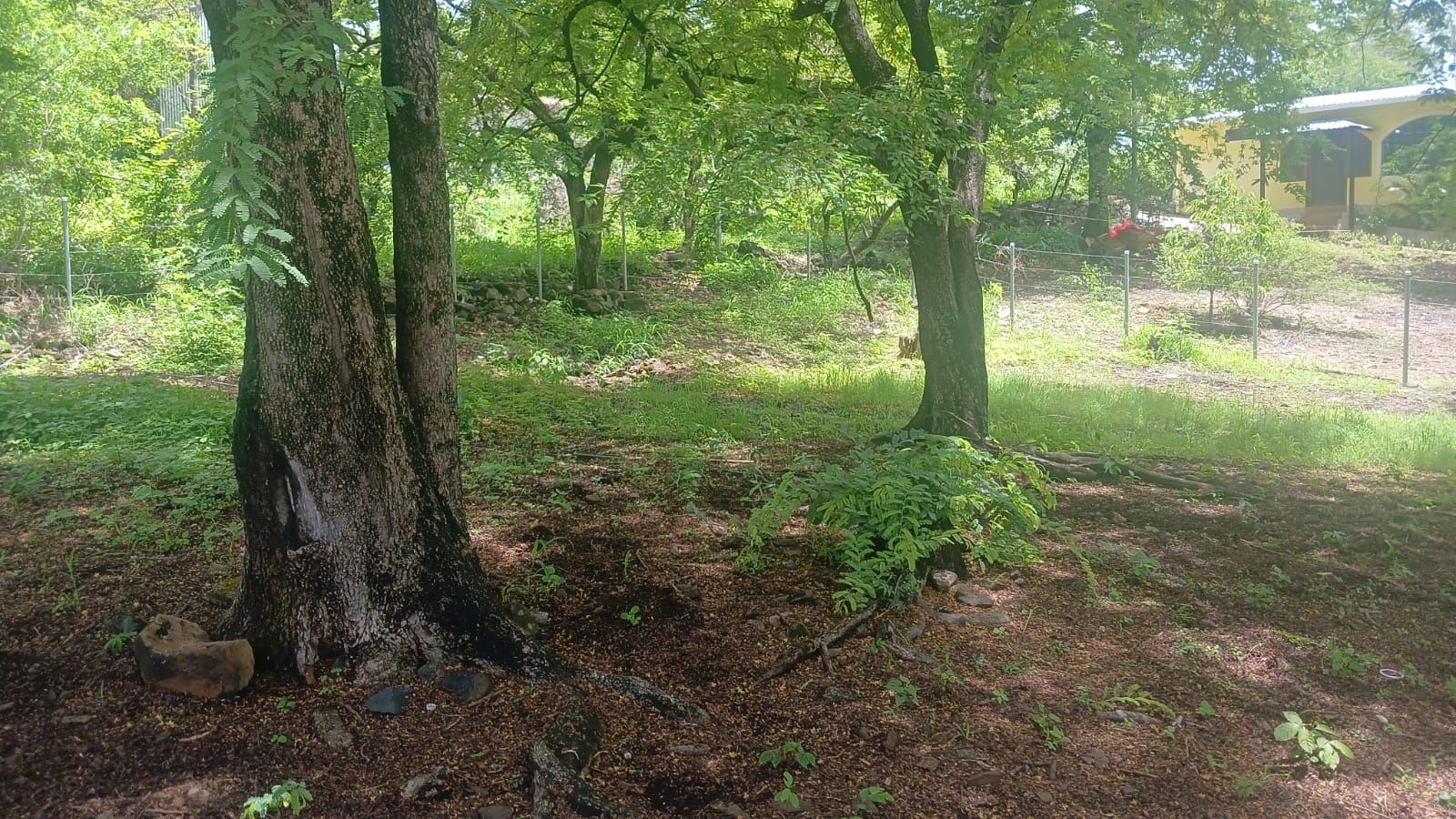 LAND FOR SALE. SAN ANTONIO PAJONAL. SANTA ANA