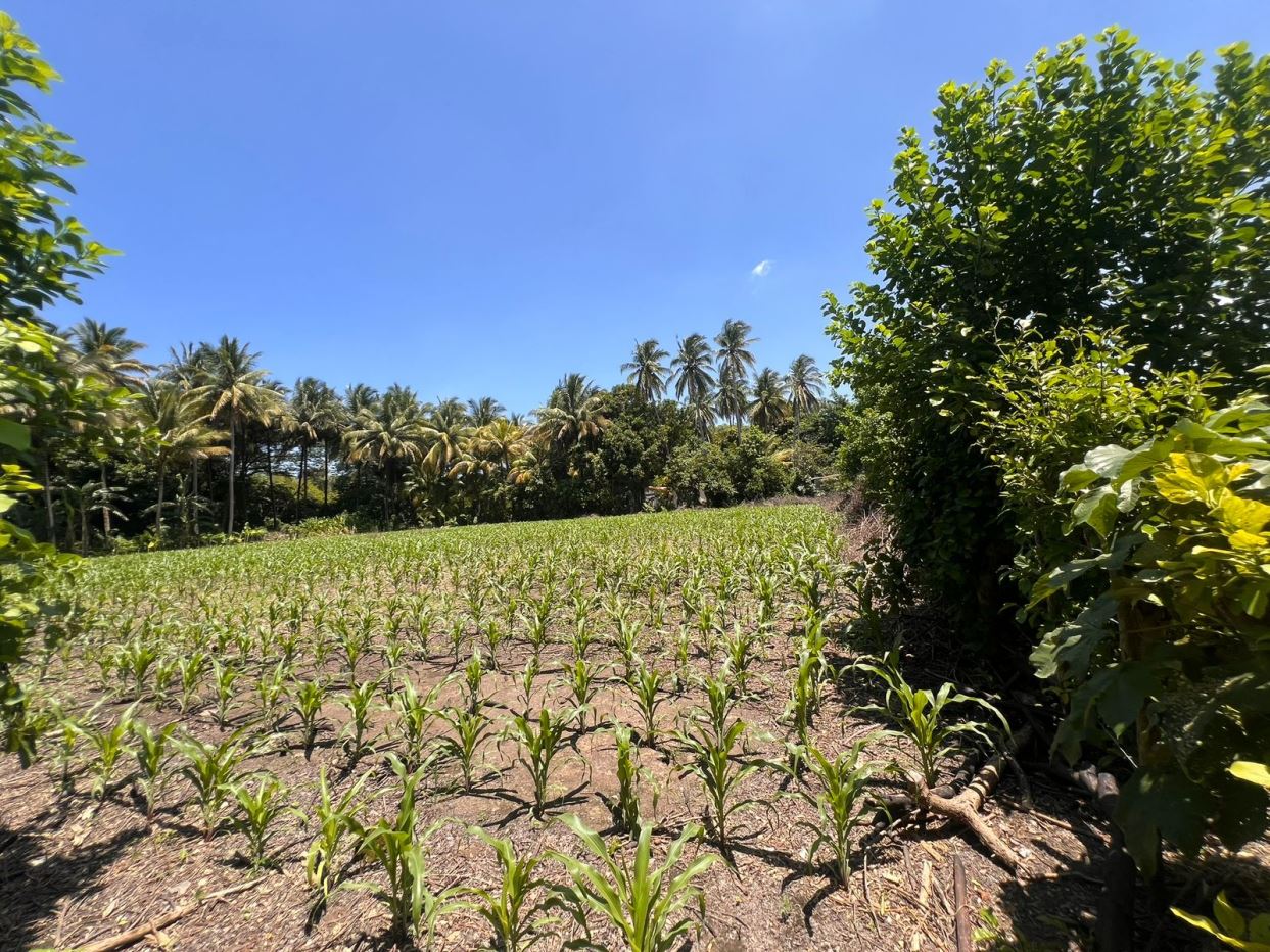 Terreno en Venta a Solo 6 Minutos de Playa El Amatal
