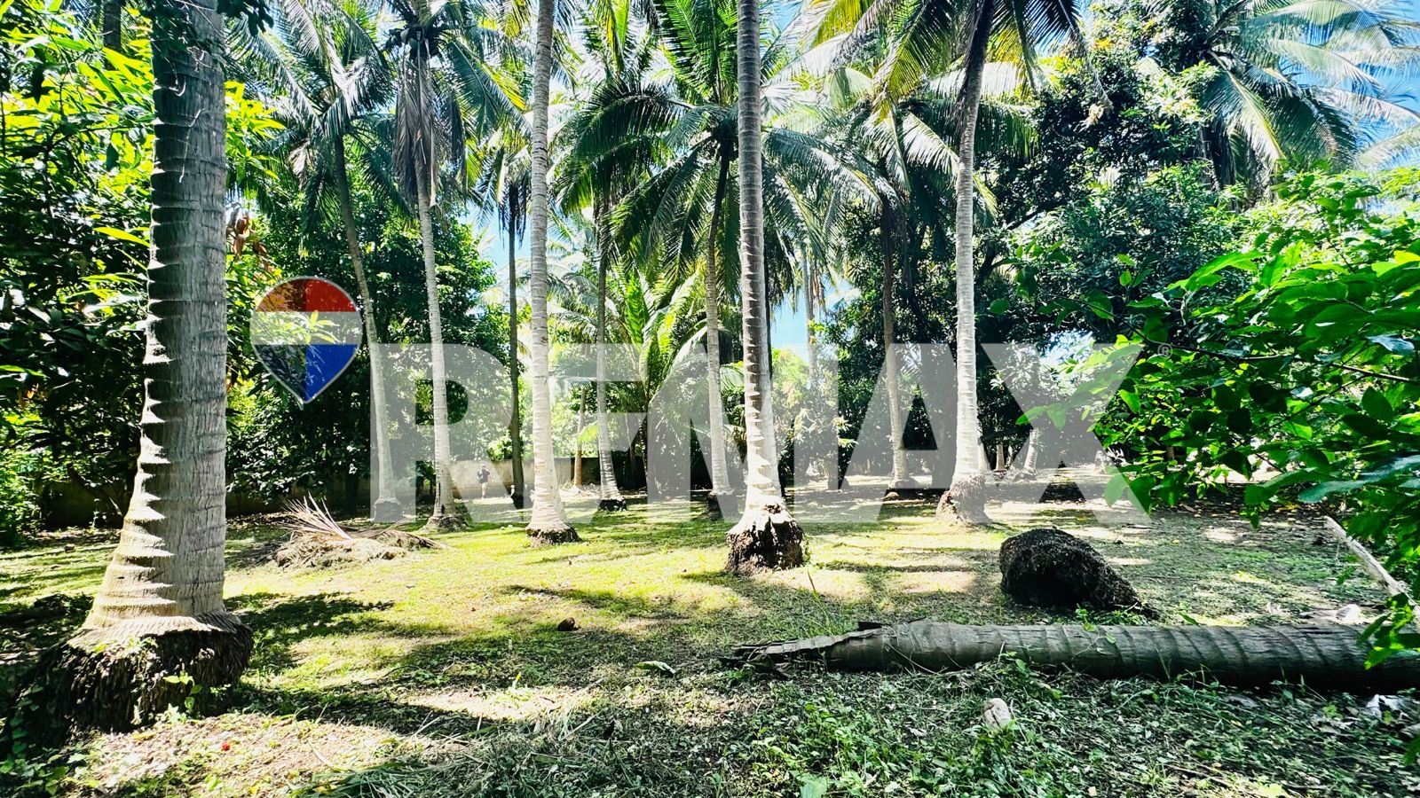 La Libertad – Playa El Amatal   Land for Sale – 915 m² (1