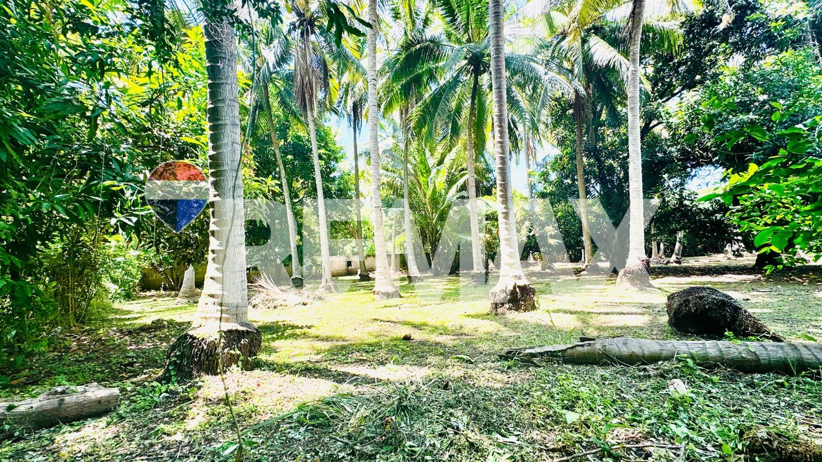 308 v²)   Completely Flat Lot in a High-Tourism and Residential