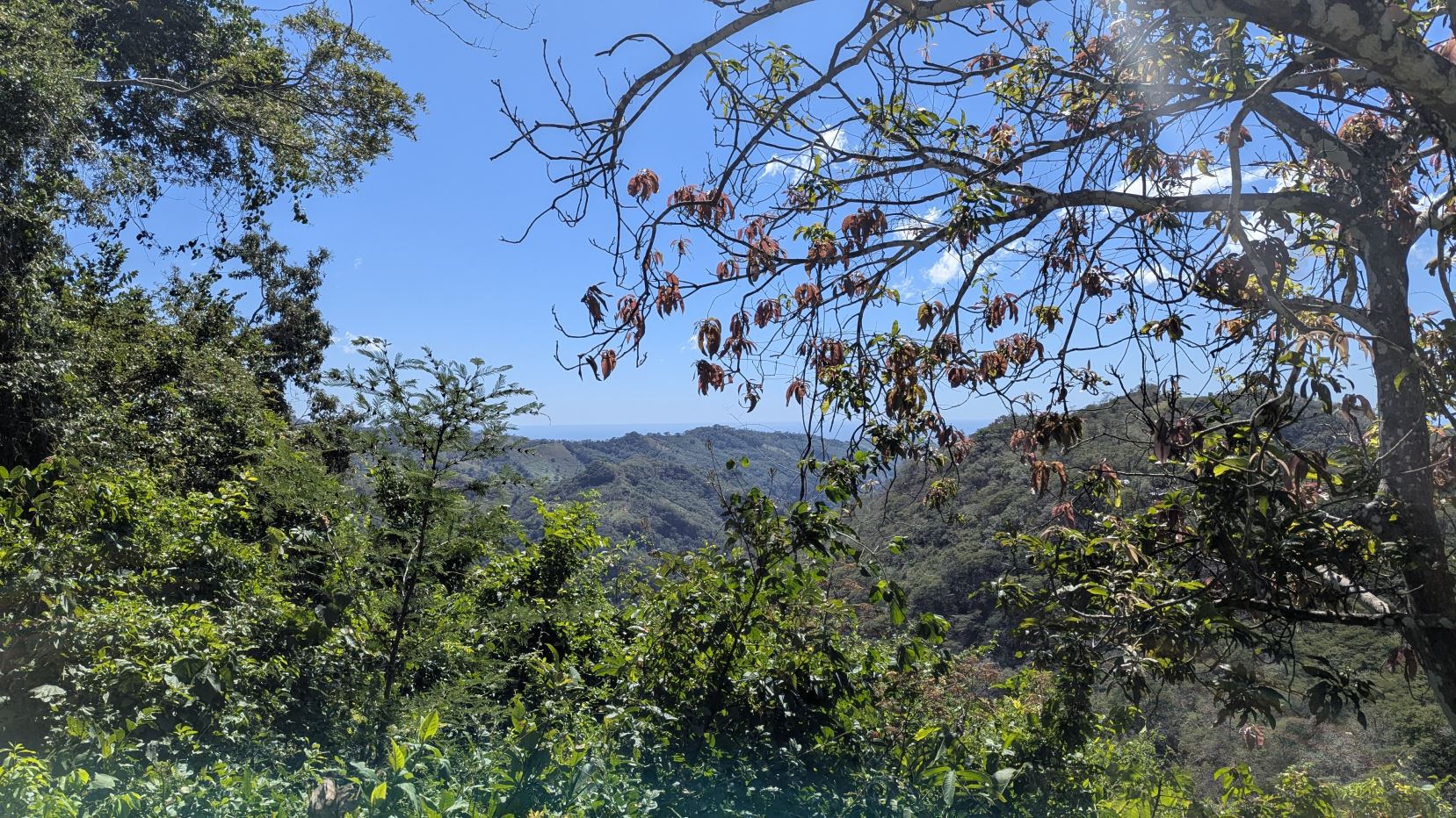 ¡Tu Finca Ideal Espera! 32 Manzanas de Tierra Fértil en Teotepeque