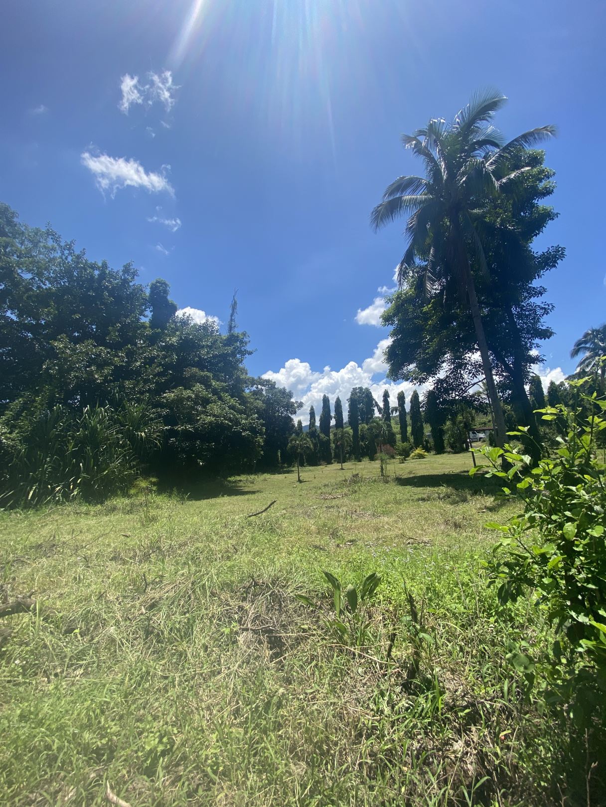 Terreno Comercial en Armenia Sonsonate