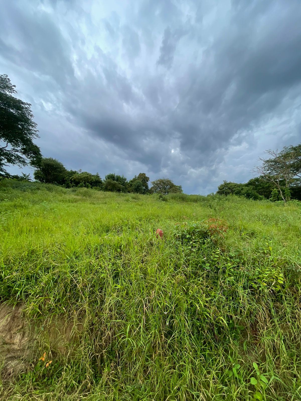 Land for Sale in Santa Rita