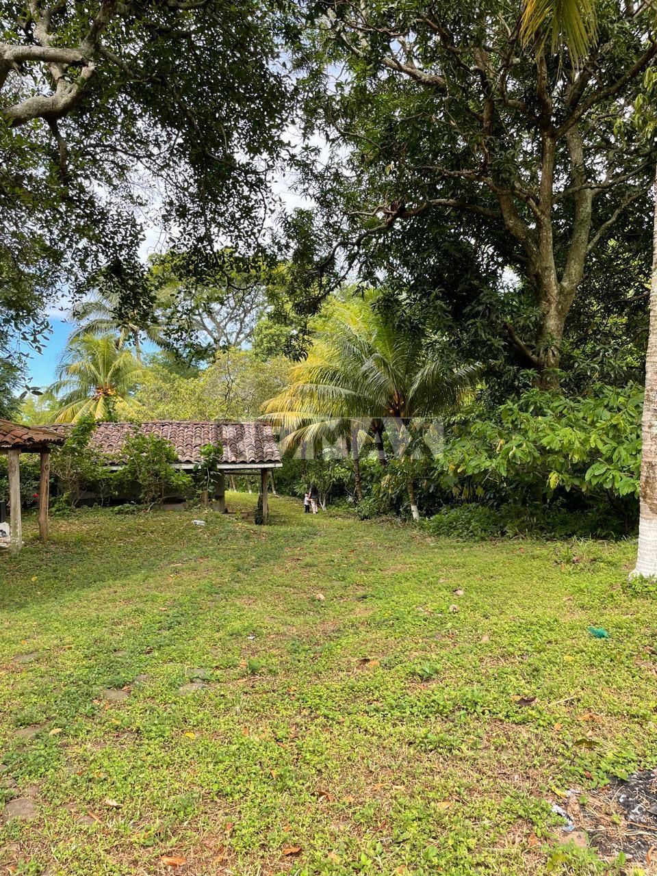 Se Vende Finca con Alta Vocacion Productiva