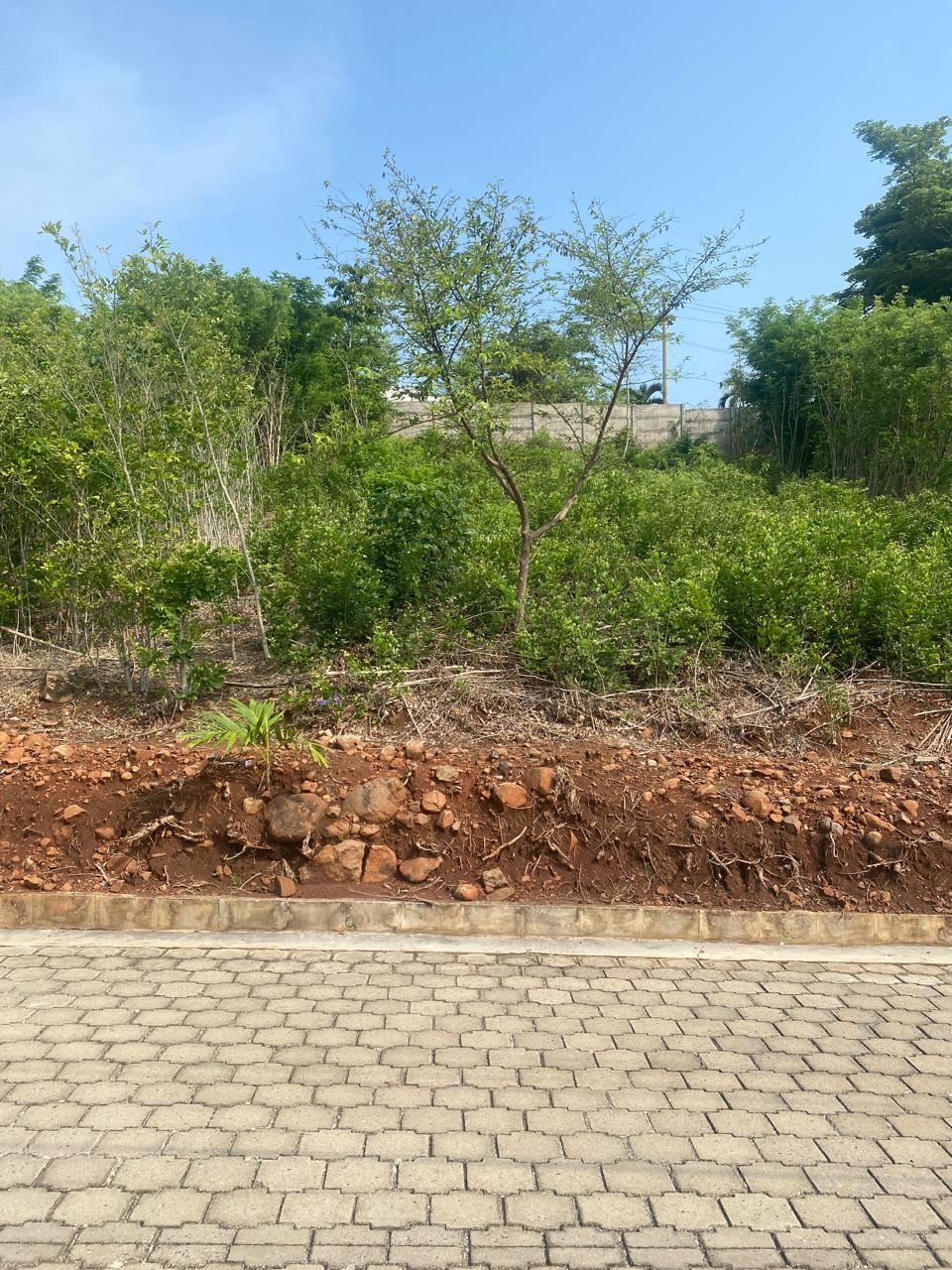 Land for Sale in Residencial Canarias