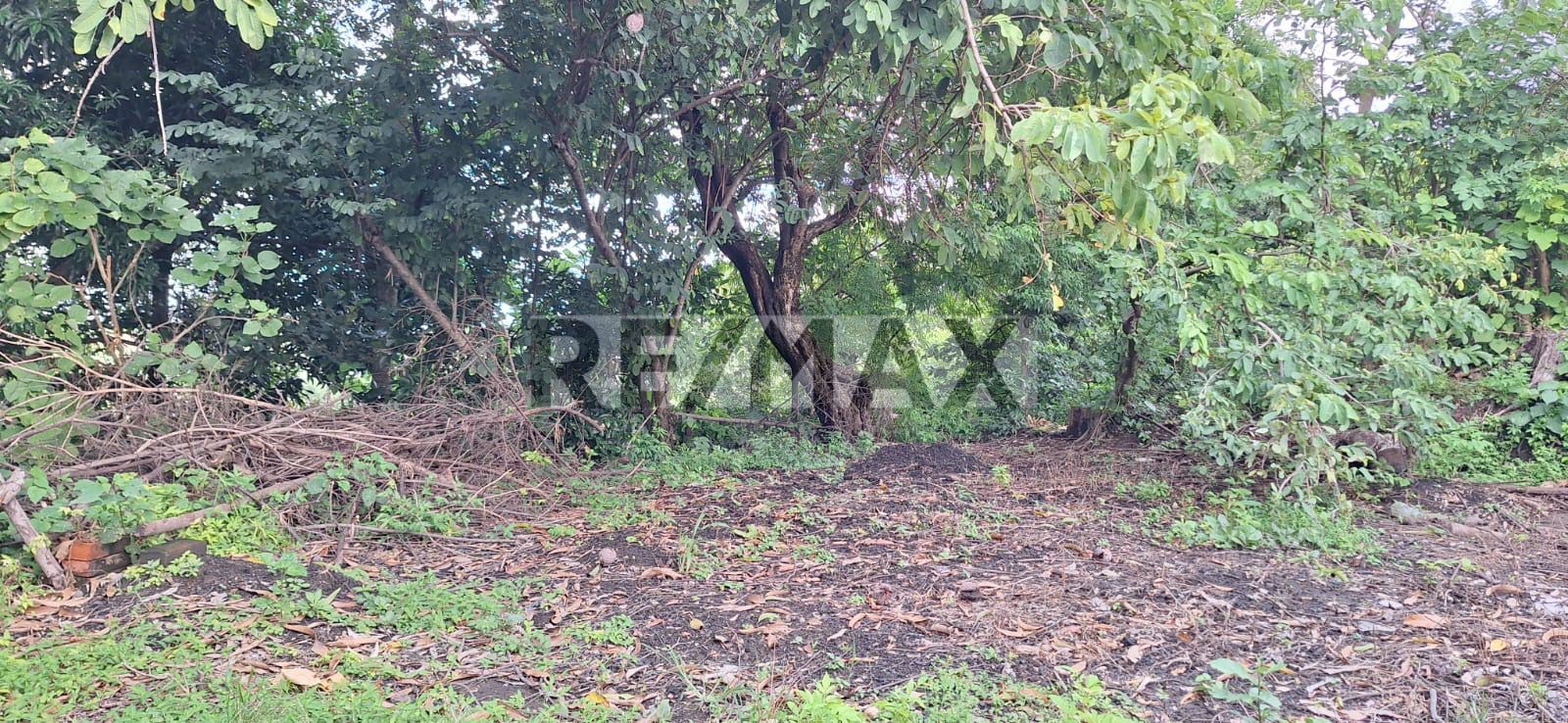 LAND FOR SALE IN ROSARIO DE MORA