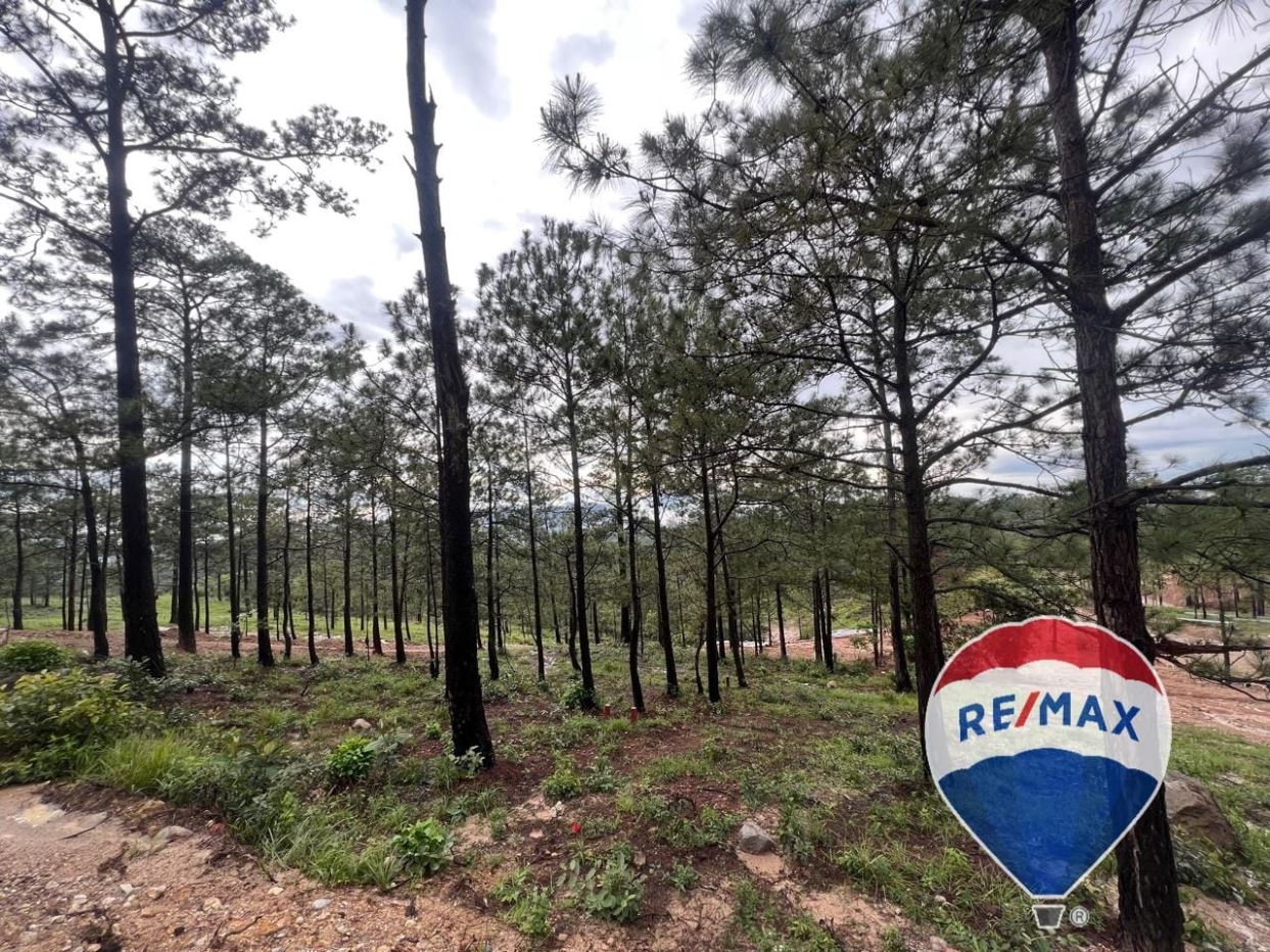 Chalatenango. Land for sale with beautiful views and cool weather