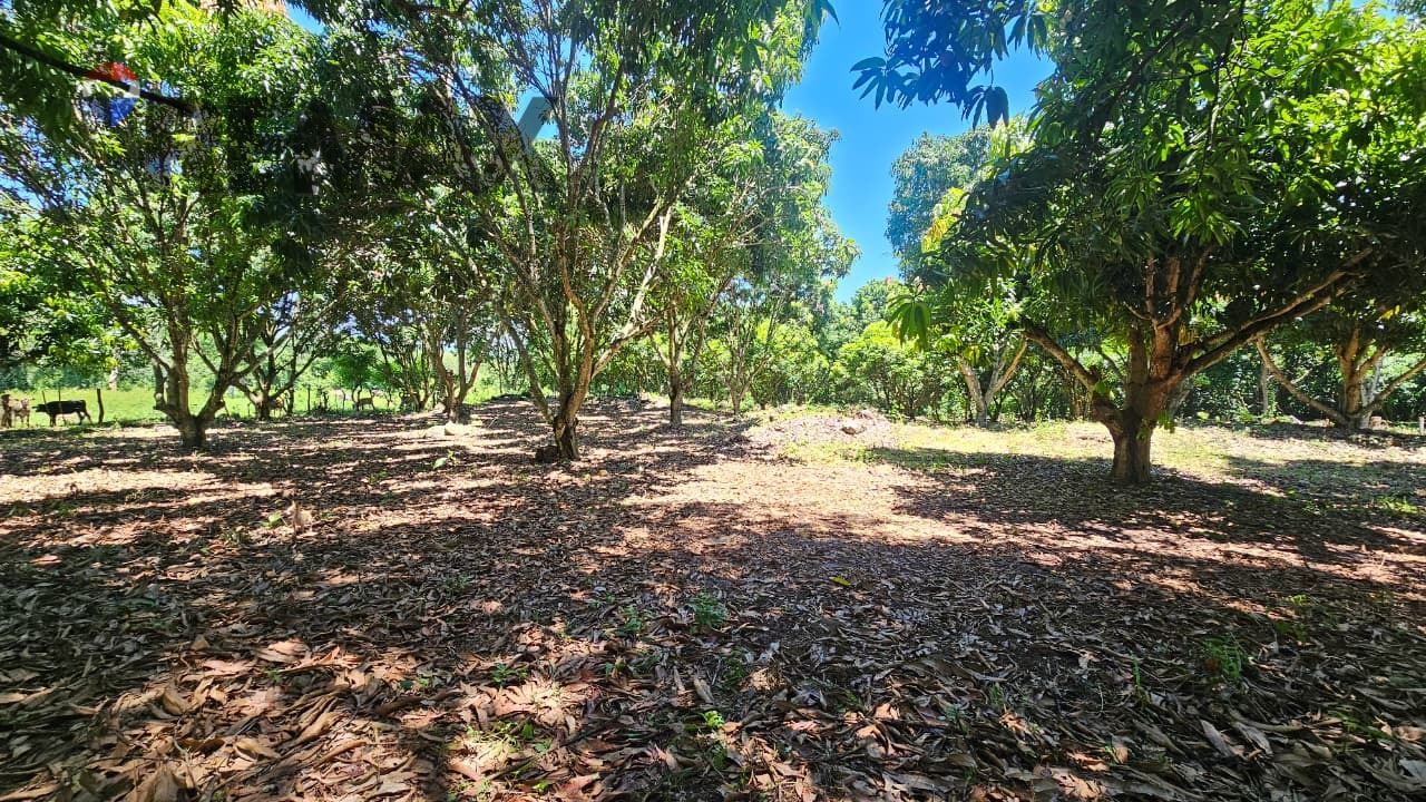 TERRENO PLANO EN GUAZAPA PORCION 1