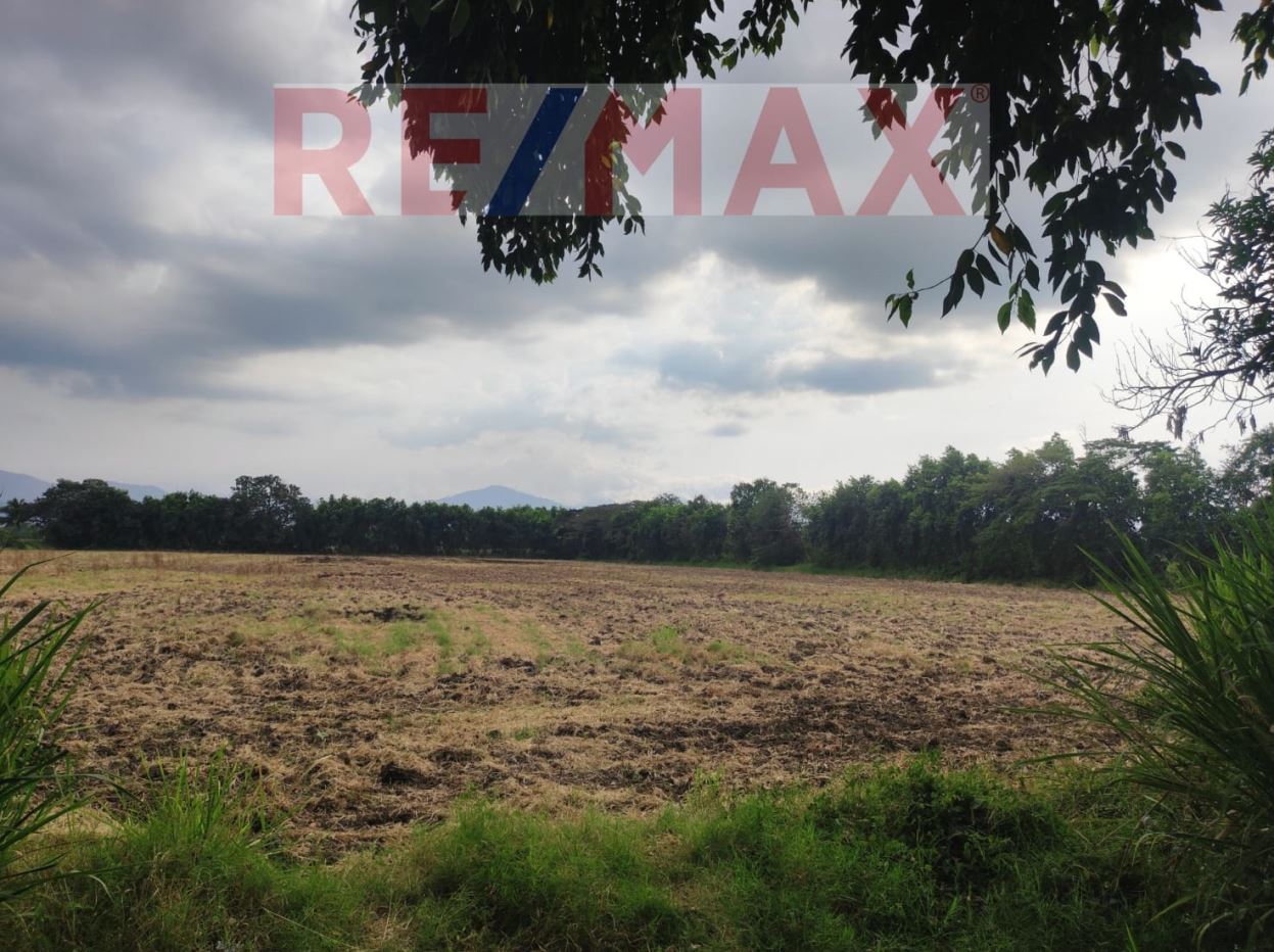 Beautiful land for Sale