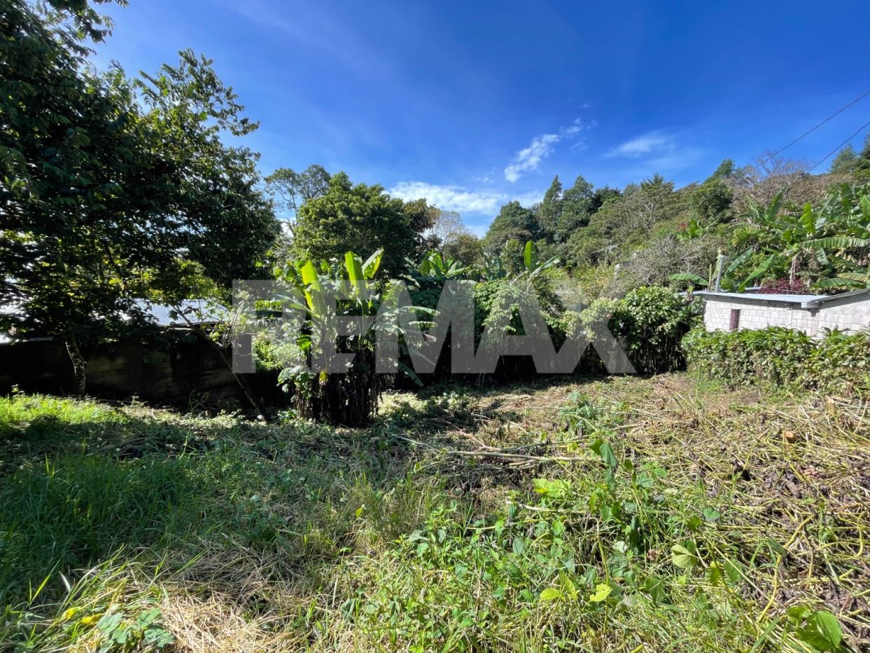 SALE OF LAND ON THE ROAD TO EL BOQUERÓN