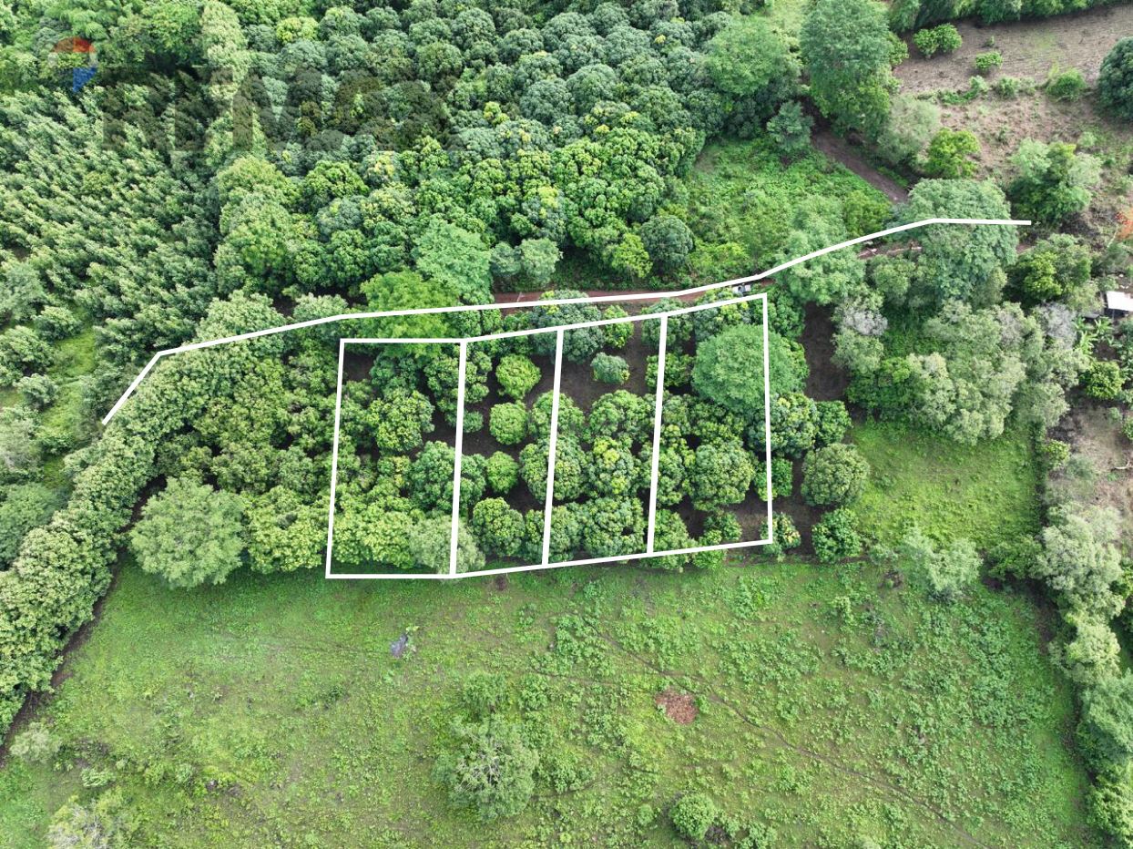 TERRENO PLANO EN GUAZAPA PORCION 4