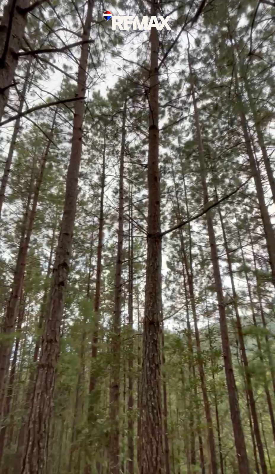 SAN IGNACIO CHALATENANGO