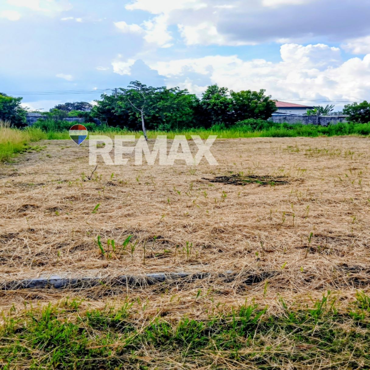 LOTIFICACION SAN NICOLÁS. SANTA ANA