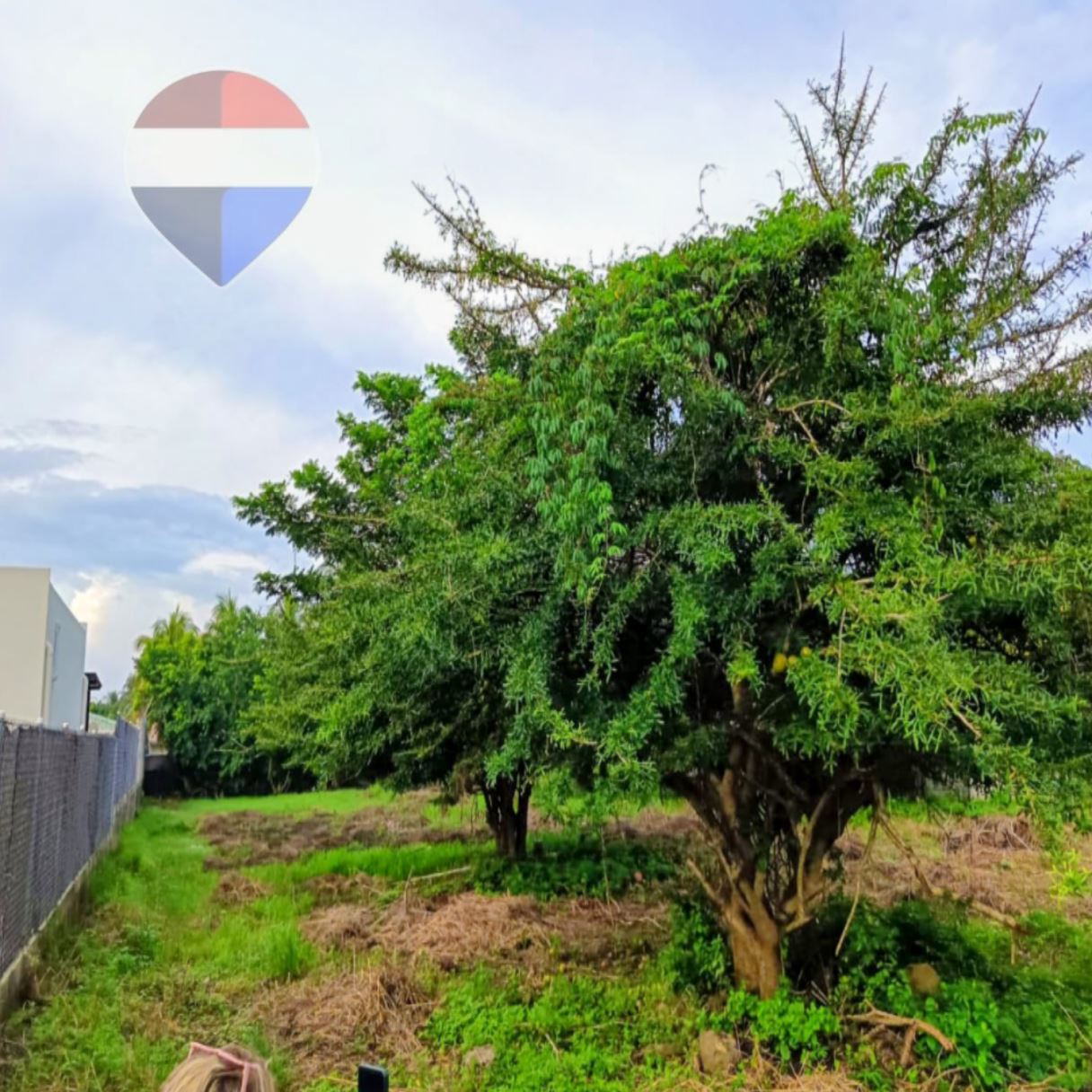 LAND FOR SALE. RESIDENTIAL SALINITAS III. SONSONATE