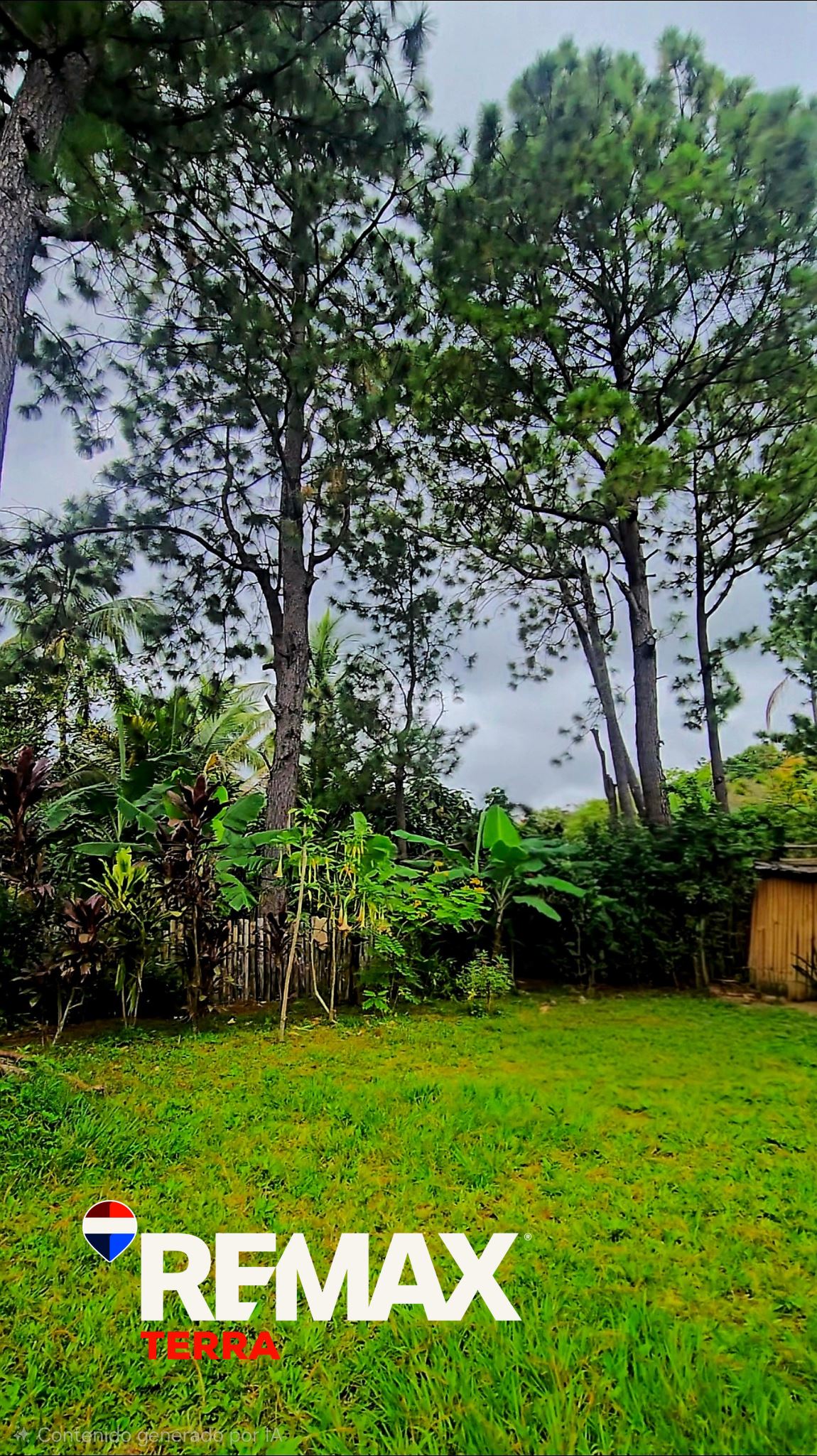 next to Apaneca. Includes fruit trees