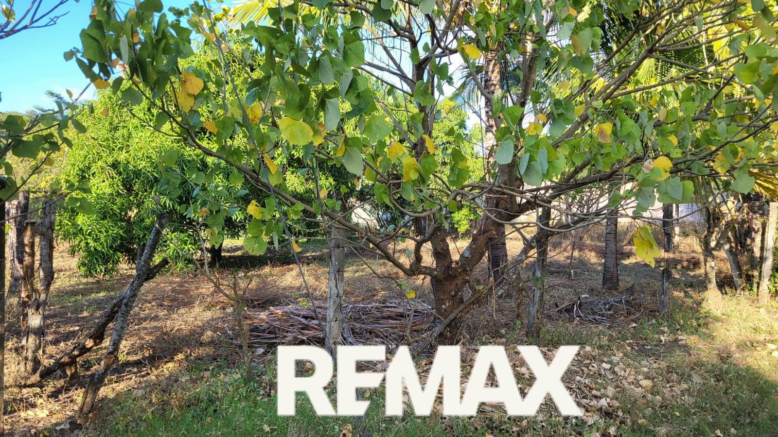REMAX | INVESTMENT LOT 17 FOR SALE – SANTA ANA