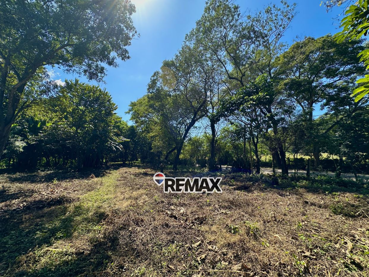 ?? FOR SALE: 40.8-MANZANA PROPERTY WITH HIGH DEVELOPMENT POTENTIAL ??