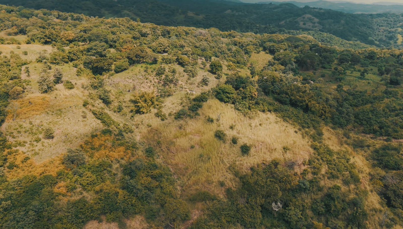 Lot for sale in BOSQUE MARIA'S RESIDENTIAL (LOT #1