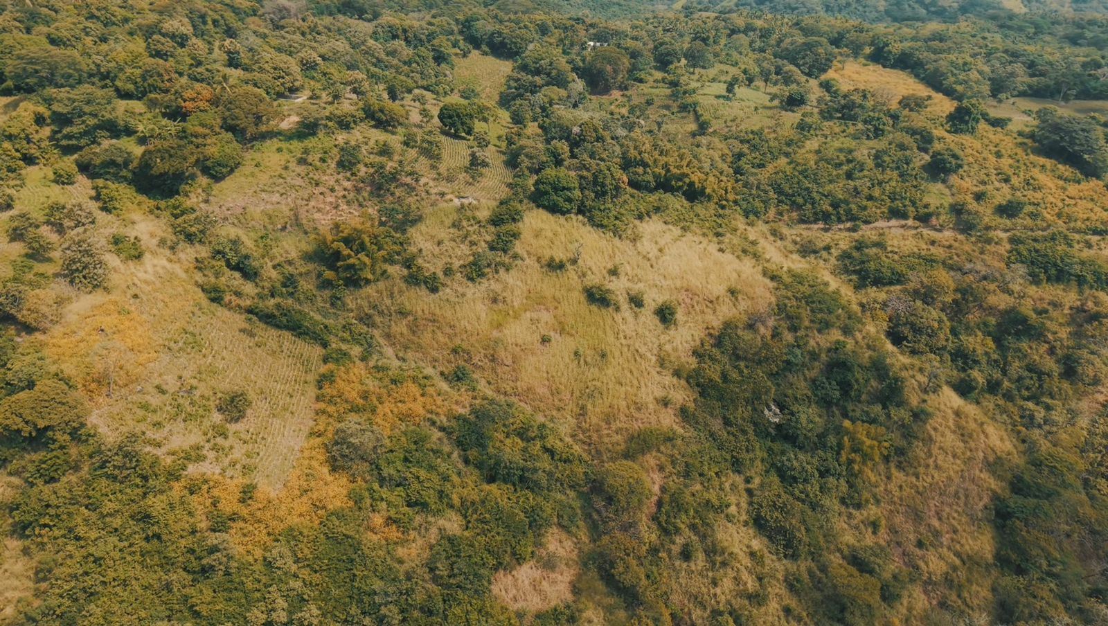 Lot for sale in BOSQUE MARIA'S RESIDENTIAL (LOT #1