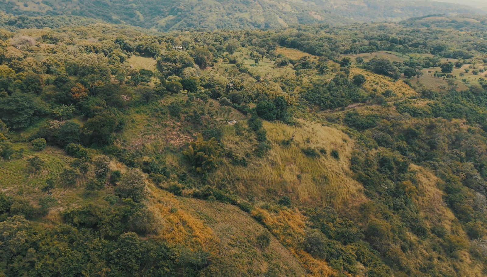 Lot for sale in BOSQUE MARIA'S RESIDENTIAL (LOT #3