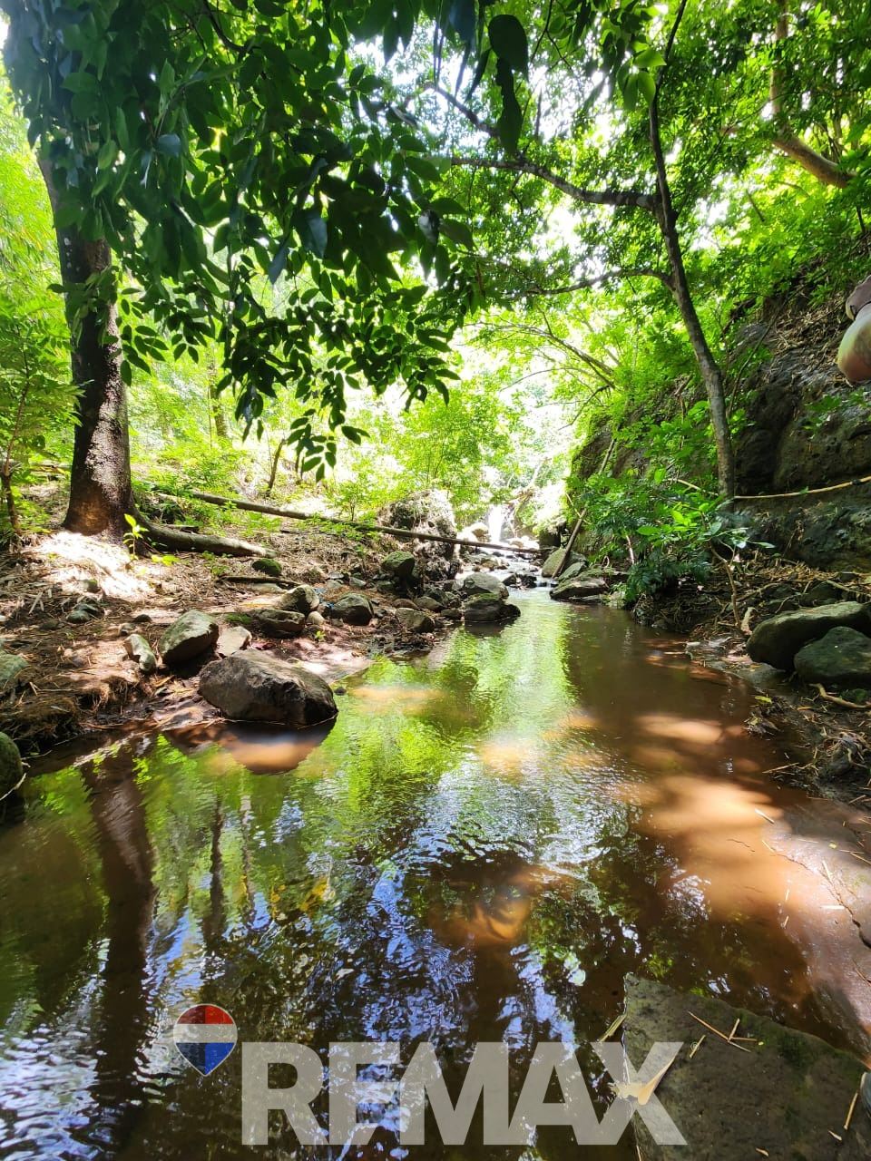 on the balsam mountain range