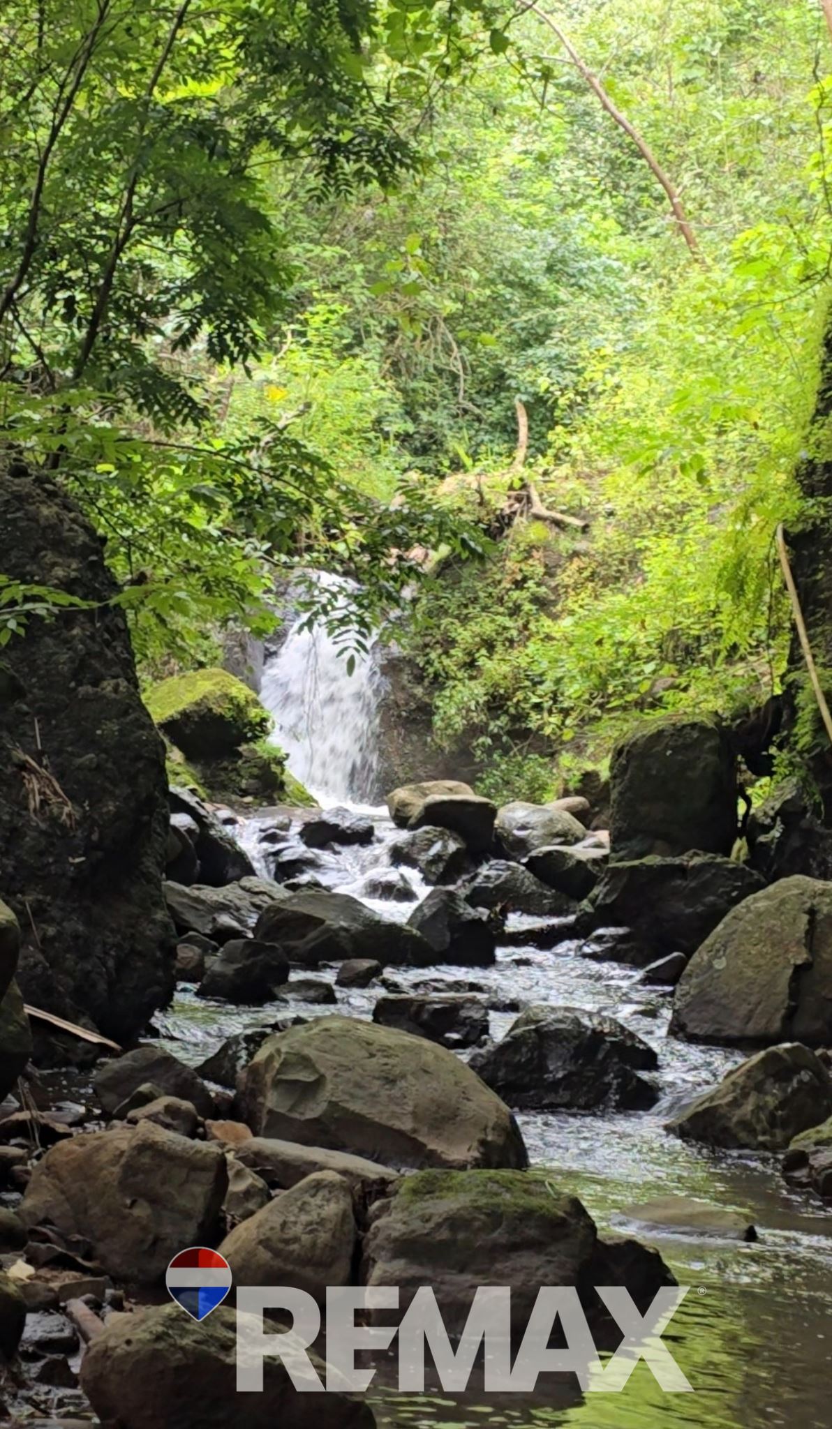 An oasis of a farm in Chiltiupan