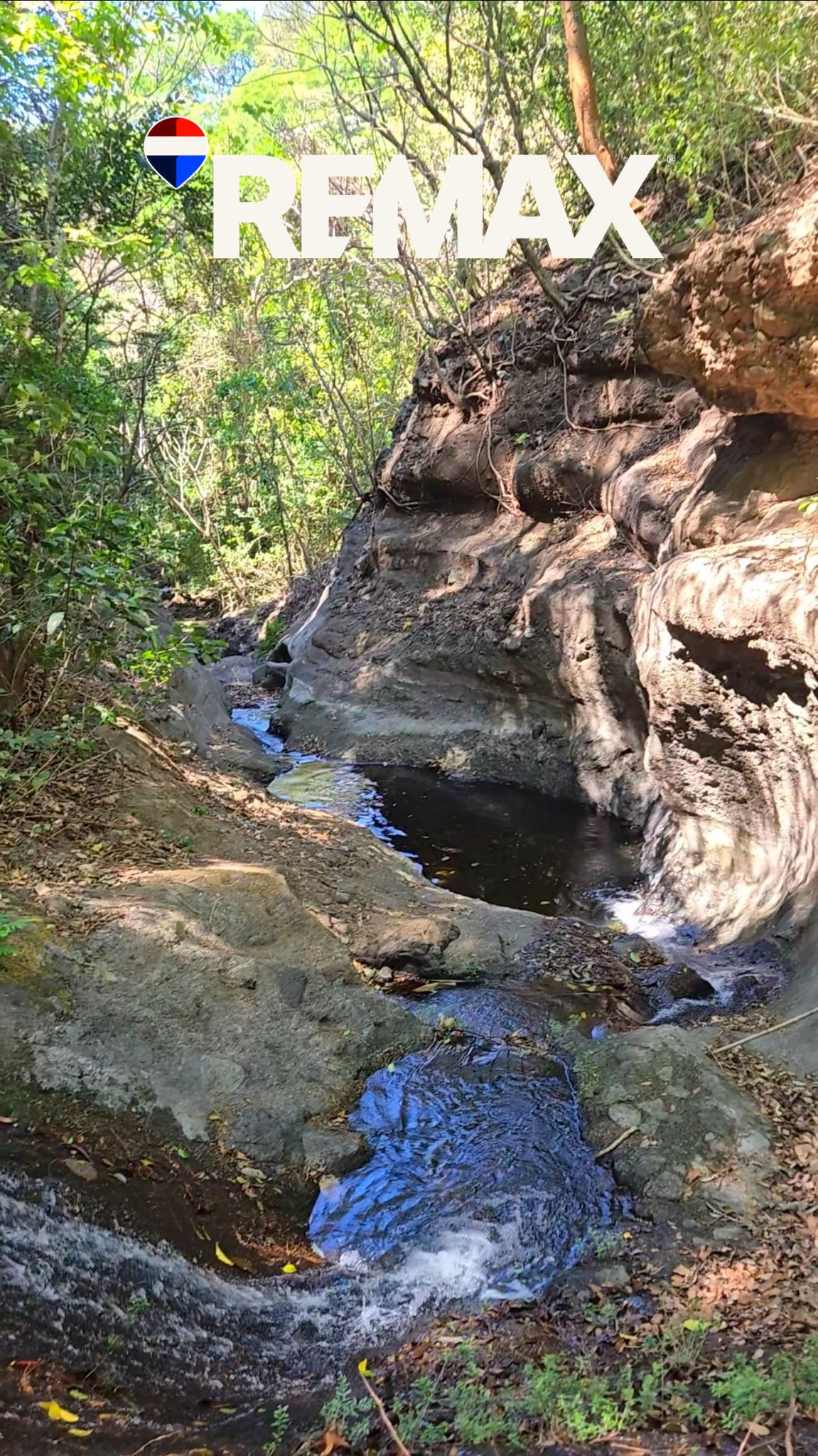 Coffee farm for sale