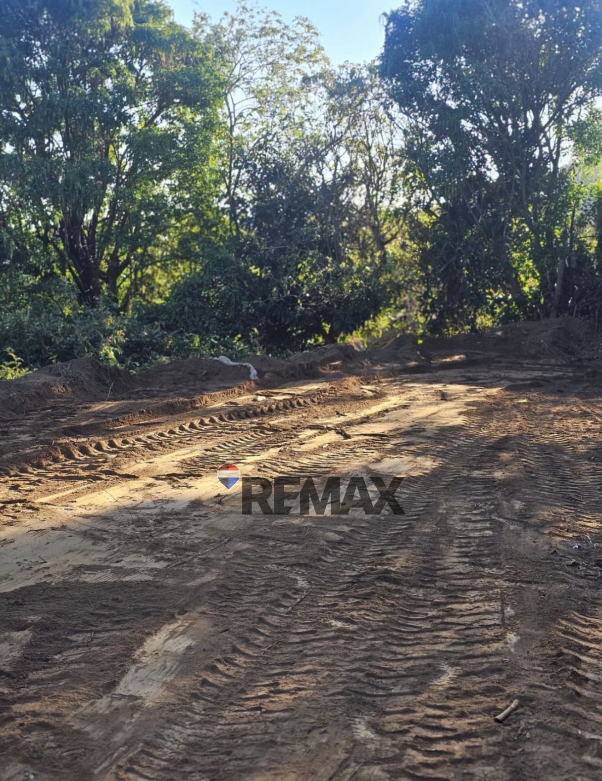 Lot for Sale in Los Naranjos
