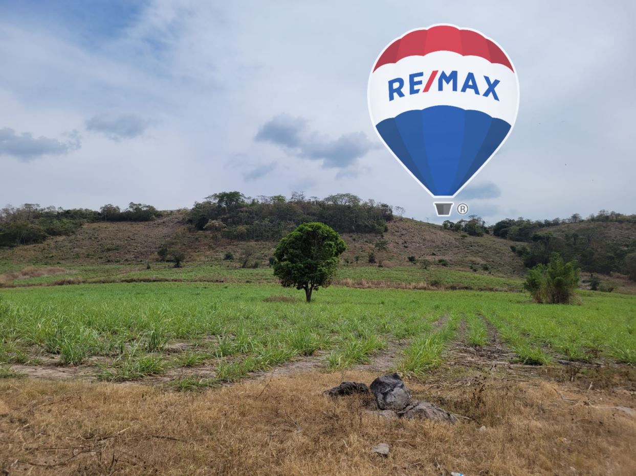 2 KM FROM COCA-COLA WAREHOUSES