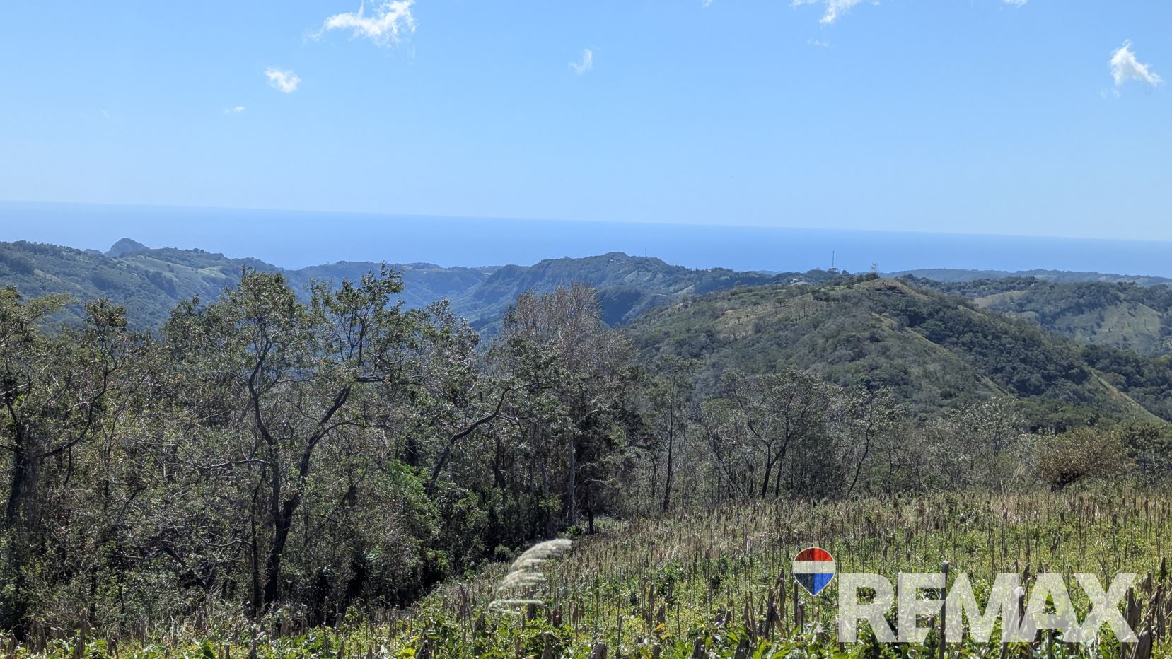 ¡Tu Finca Ideal Espera! 32 Manzanas de Tierra Fértil en Teotepeque