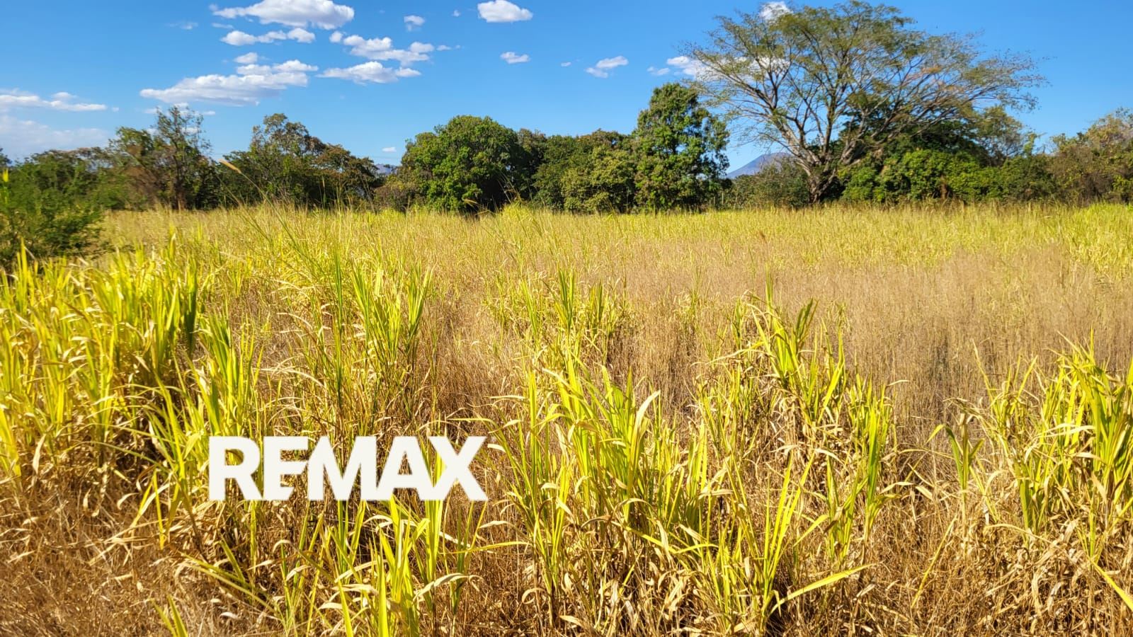 LAND FOR RENT – TURÍN