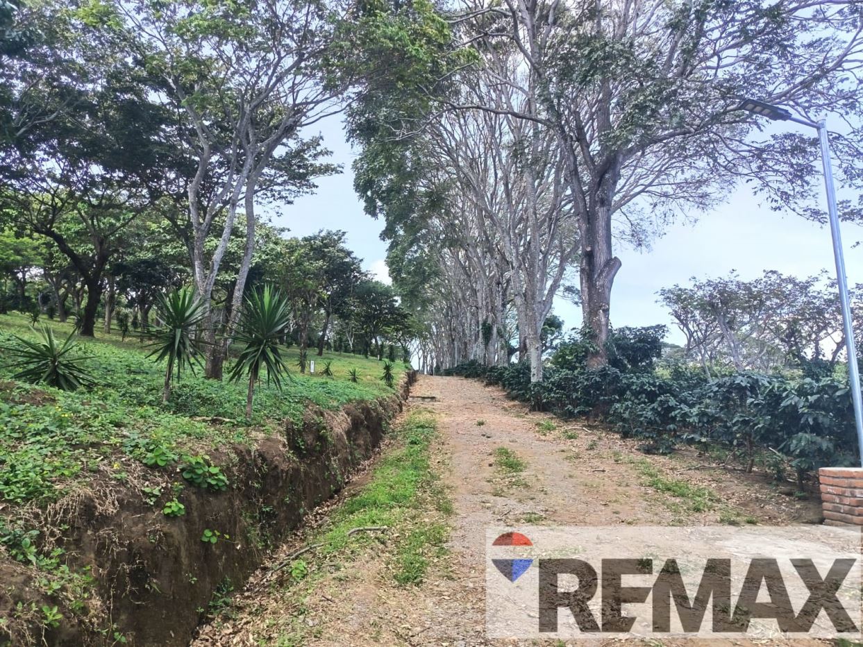 LAND WITH A VIEW IN SALCOATITAN