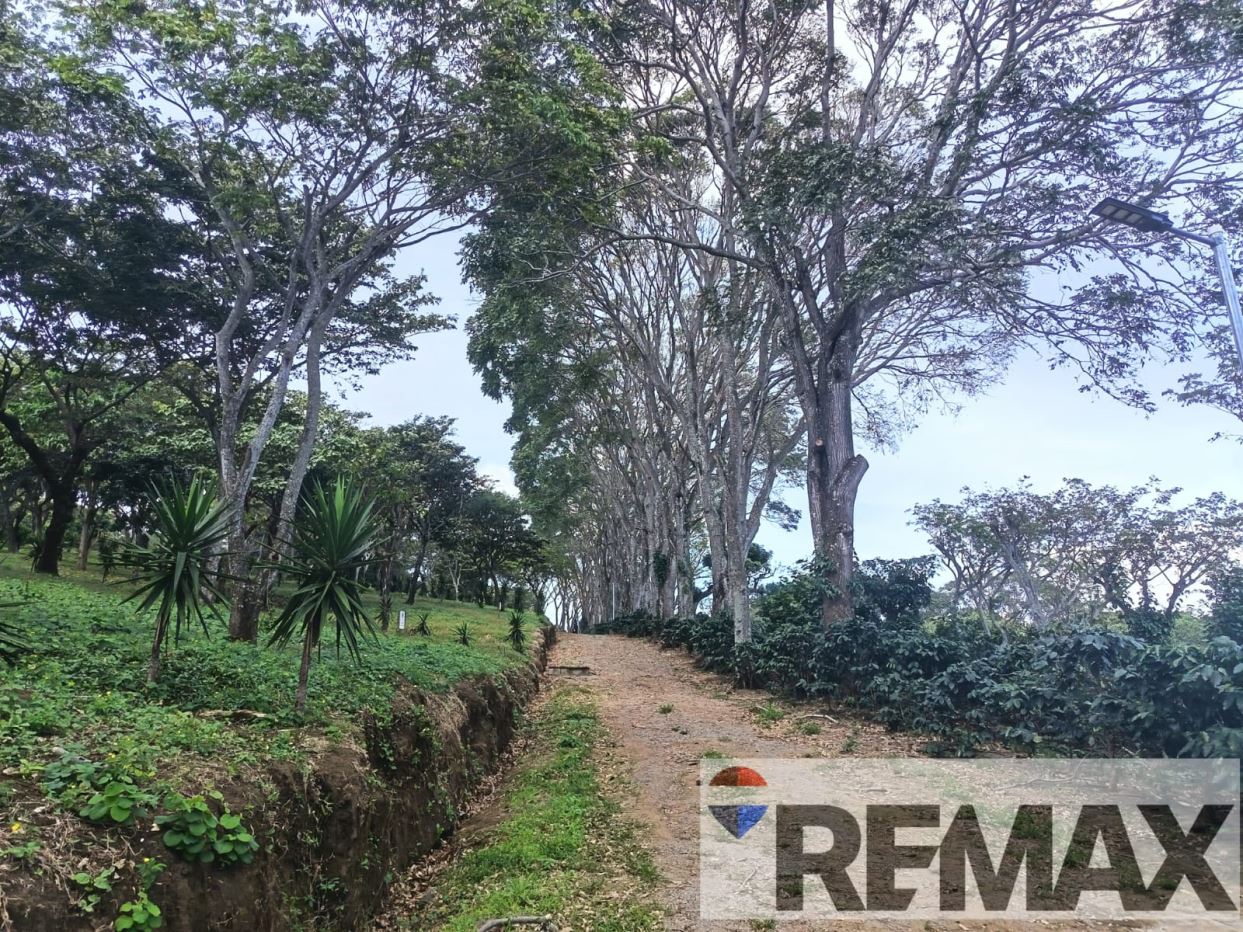 LAND FOR SALE IN A PRIVATE RESIDENTIAL AREA IN SALCOATITAN