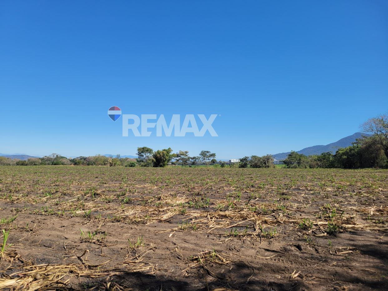 LOURDES COLÓN. LAND FOR SALE. 10 MANZANAS