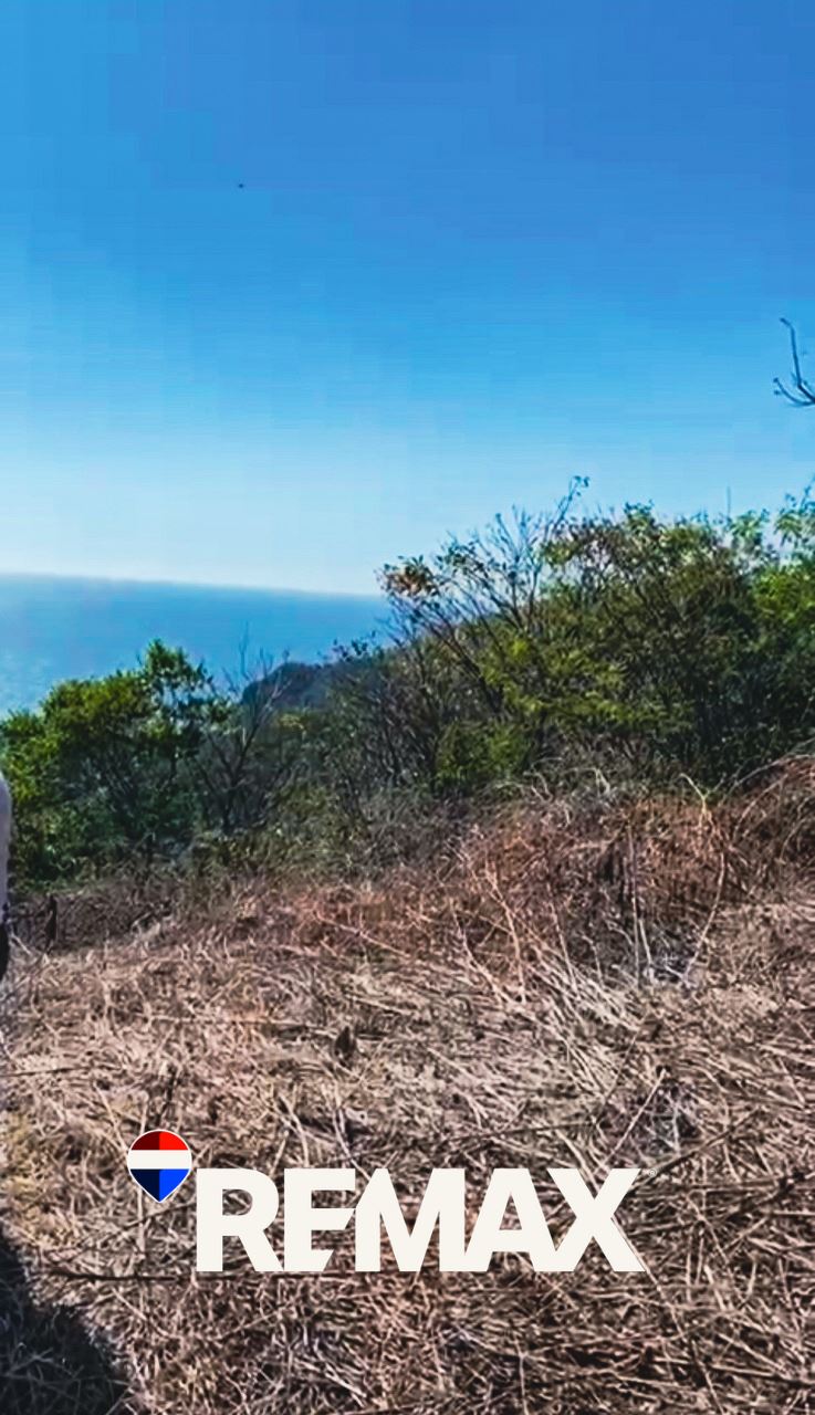 on a cliff facing the sea